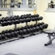 Dumbbell Racks: Variations and Selection Guidelines